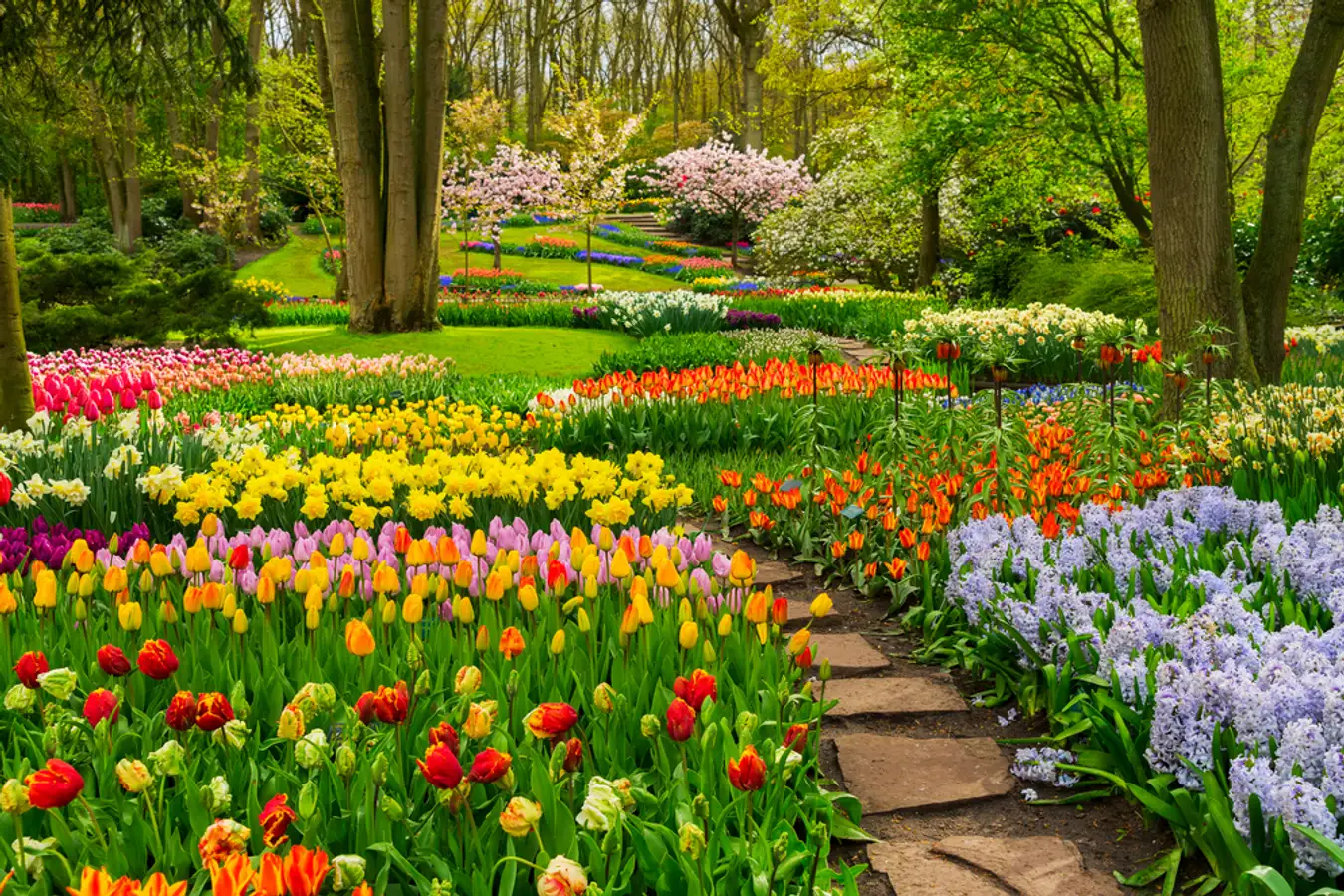 Keukenhof Garden, Lisse, Belanda