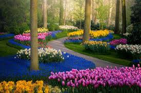 Keukenhof