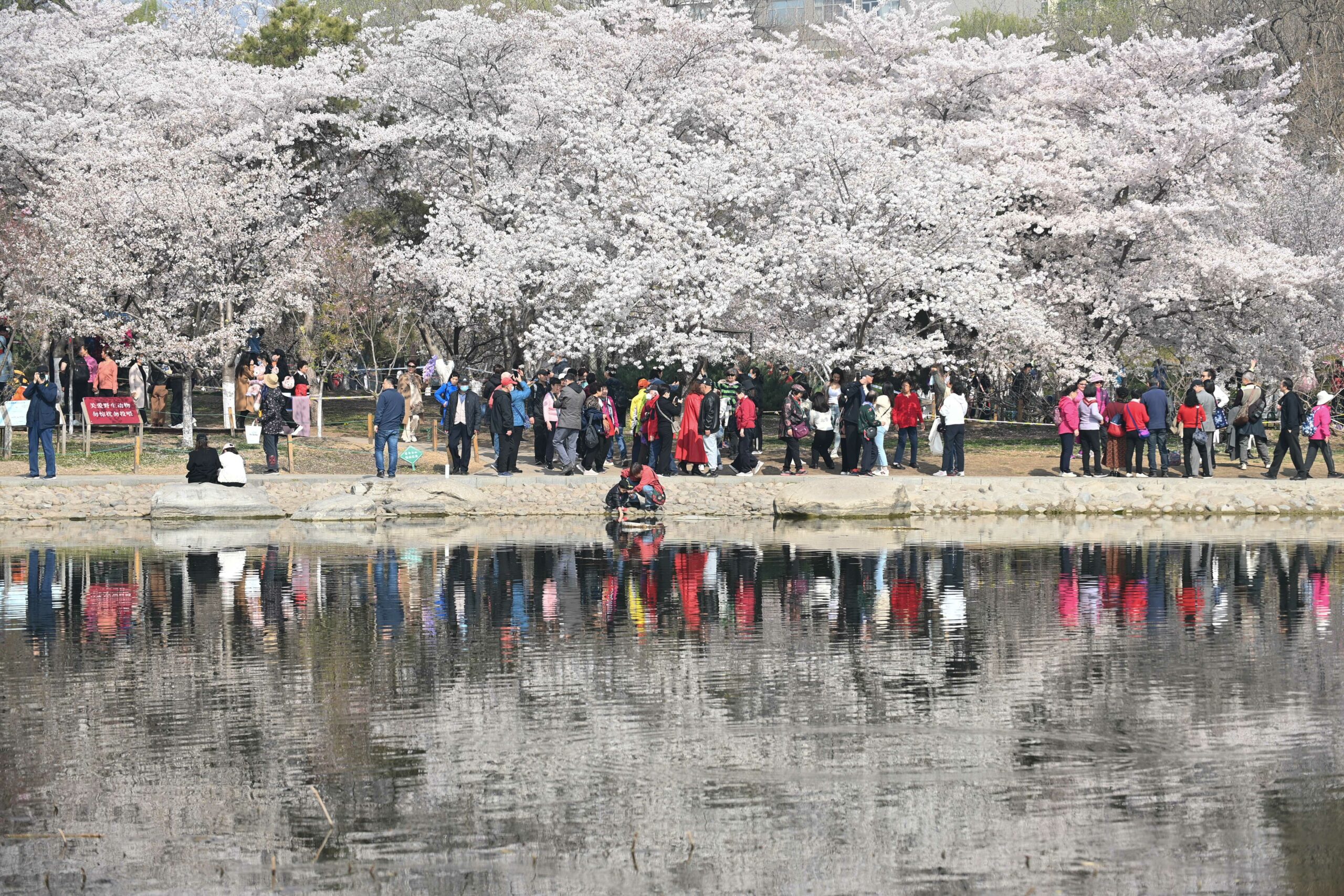 Taman Yuyuantang China