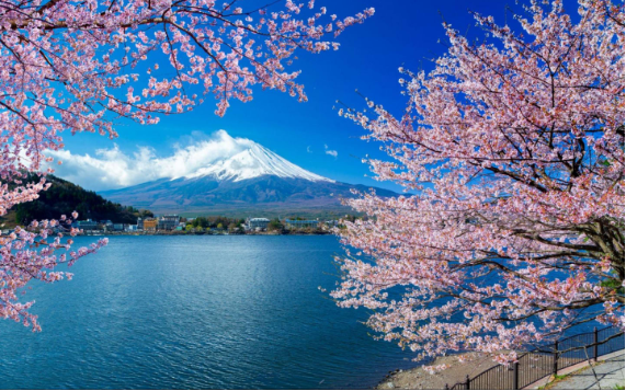 Jepang adalah negara yang menawarkan beragam keindahan alam yang memukau dan selalu menggoda wisatawan untuk kembali mengunjunginya. Sering kali, wisatawan menghabiskan waktu di kota-kota besar, namun ada banyak keindahan alam yang tak kalah memukau di luar kota-kota tersebut.