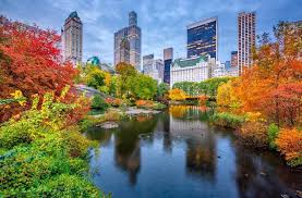 Central Park NYC