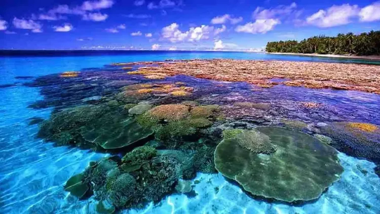 Taman Laut Bunaken