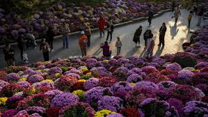 Taman di Beijing