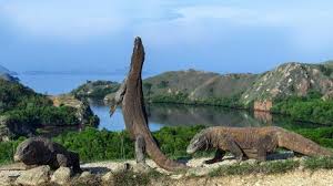 Taman Nasional Pulau Komodo: Surga Alam yang Terlindungi di Indonesia