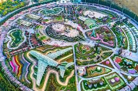 Taman Dubai Miracle Garden: Keajaiban Taman Berbunga di Tengah Gurun