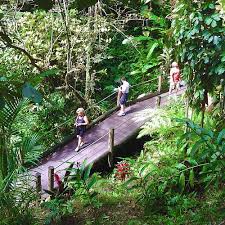 Menjelajahi Keindahan Taman di Hawaii: Surga Alam yang Memukau