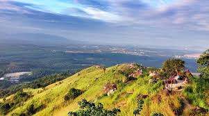 Broga Hill Garden