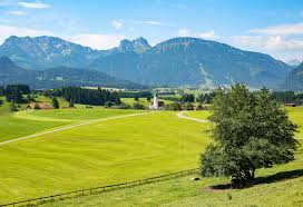 Menyusuri Keindahan Taman Padang Rumput di Swiss: Pesona Alam yang Menawan