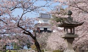 Taman Omura