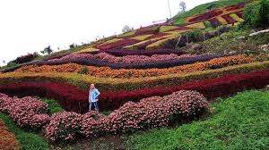 Taman Bunga di Sumatera Barat