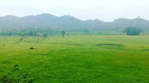 Keindahan Padang Savana