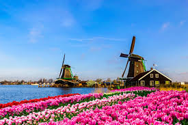 Taman Tulip Belanda