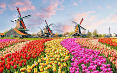 Taman Kincir Angin Belanda