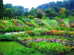 Grishko Central Botanical Garden