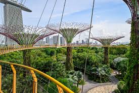 Gardens by the Bay: Taman Futuristik Ikonik Singapura yang Wajib Dikunjungi